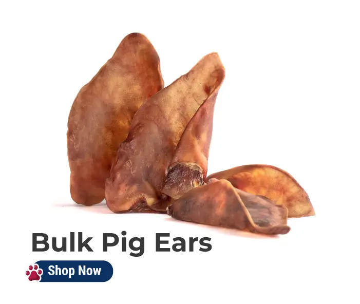 wholesale pig ears